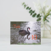Swan-Tischnummer Postkarte (Stehend Vorderseite)