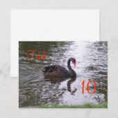 Swan-Tischnummer Postkarte (Vorne/Hinten)