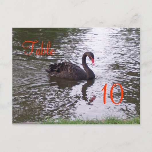Swan-Tischnummer Postkarte (Vorderseite)