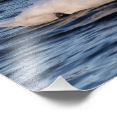 Swan und Blaues Wasser Fotodruck (Ecke)
