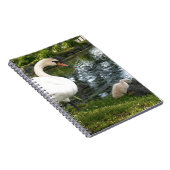 Swan und Cygnet-Foto Notizblock (Rechte Seite)