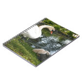 Swan und Cygnet-Foto Notizblock (Linke Seite)