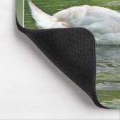 Swan und Cygnet in Wasser Mousepad (Ecke)