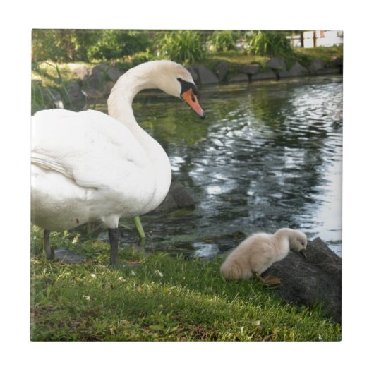 Swan und Cygnet Keramik Tile Fliese (Vorderseite)