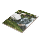 Swan und Cygnet Keramik Tile Fliese (Seite)