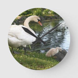 Swan und Cygnet Runde Uhr