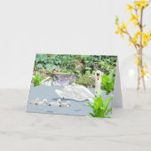 Swan und Cygnets Blank Karte (Gelbe Blume)