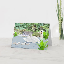 Swan und Cygnets Blank Karte