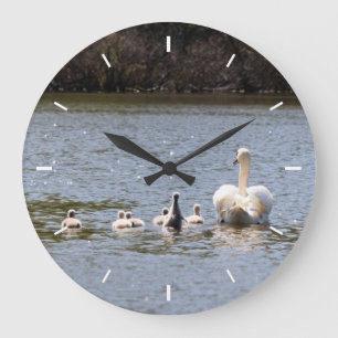 Swan- und Cygnets-Fotografie Große Wanduhr