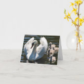 Swan und Cygnets Karte (Gelbe Blume)