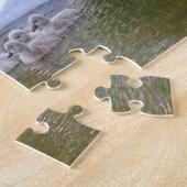 Swan und Cygnets Puzzle (Seite)