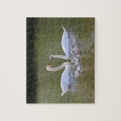 Swan und Cygnets Puzzle (Vertikal)