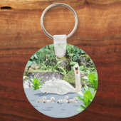 Swan und Cygnets Schlüsselanhänger (Vorderseite)