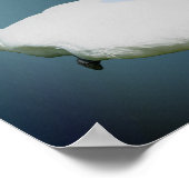 Swan und Hibiskus Blume Natur Kunst Poster (Ecke)