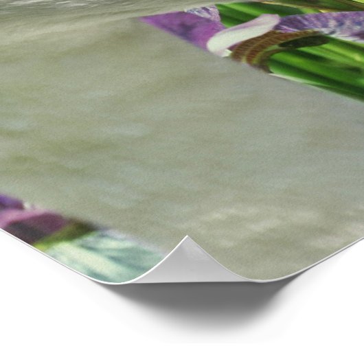 Swan und Lila Iris-Blume Poster (Ecke)