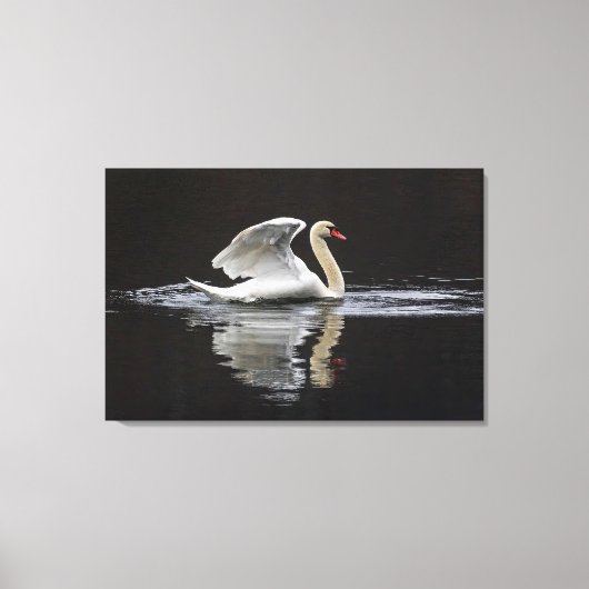 Swan und Reflektionen Leinwanddruck (Vorderseite)