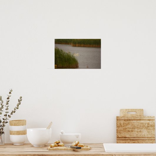 Swan Waterscape Poster (Küche)