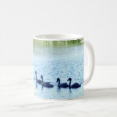 Swan with Cygnets on River Kaffeetasse (VorderseiteRechts)