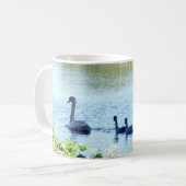 Swan with Cygnets on River Kaffeetasse (Vorderseite Links)