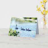 Swan with Cygnets on River Karte (Gelbe Blume)