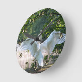 Swan with Wings Spread Runde Wanduhr (Winkel)