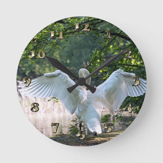 Swan with Wings Spread Runde Wanduhr (Vorderseite)