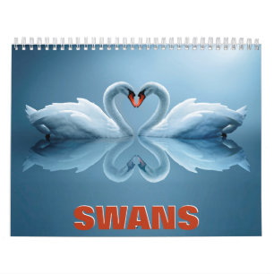 Swans 2022 Wall Calendar Kalender