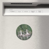 SWans and Cygnets Magnet (In Situ (Geschirrspüler))