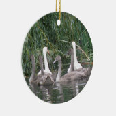 Swans and Cygnets Ornament (Rechts)