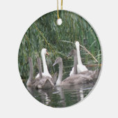 Swans and Cygnets Ornament (Links)