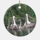 Swans and Cygnets Ornament (Hinten)