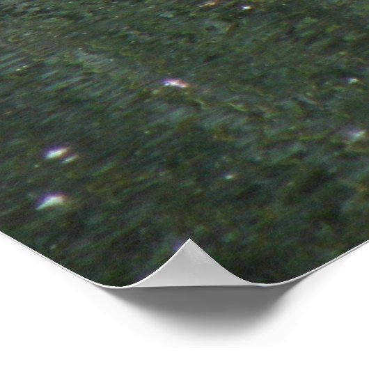 Swans and Cygnets Poster (Ecke)