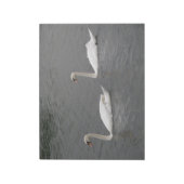 Swans auf dem Notepad Notizblock (Rotiert)