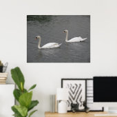 Swans auf dem River Poster (Heimbüro)