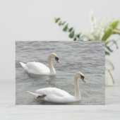 Swans auf Lake Card Karte (Stehend Vorderseite)