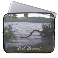 Swans auf Loch Lomond
