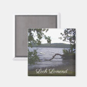 Swans auf Loch Lomond Magnet (Vorderseite/Rückseite)