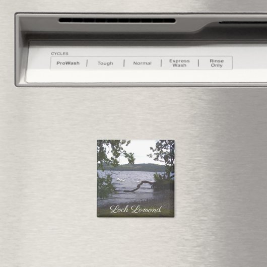 Swans auf Loch Lomond Magnet (In Situ (Geschirrspüler))