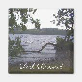 Swans auf Loch Lomond Magnet (Vorne)