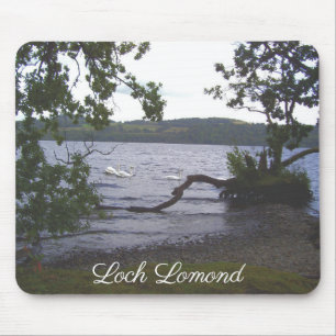 Swans auf Loch Lomond Mousepad