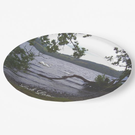 Swans auf Loch Lomond Pappteller (Schrägansicht)