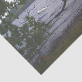 Swans auf Loch Lomond Seidenpapier (Ausschnitt)