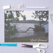 Swans auf Loch Lomond Seidenpapier (Handwerk)