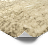 Swans aus dem 19. Jahrhundert in Paris Poster (Ecke)