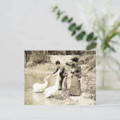 Swans aus dem 19. Jahrhundert in Paris Postkarte (Stehend Vorderseite)