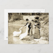 Swans aus dem 19. Jahrhundert in Paris Postkarte (Vorne/Hinten)