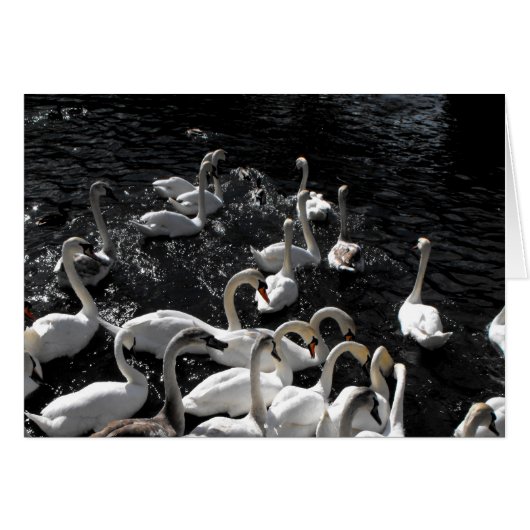 Swans away-Karte (Vorderseite (Horizontal))