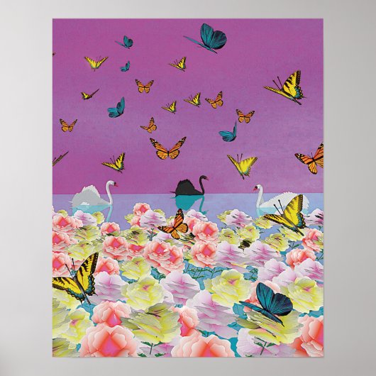 Swans bei Sunset Poster (Vorne)