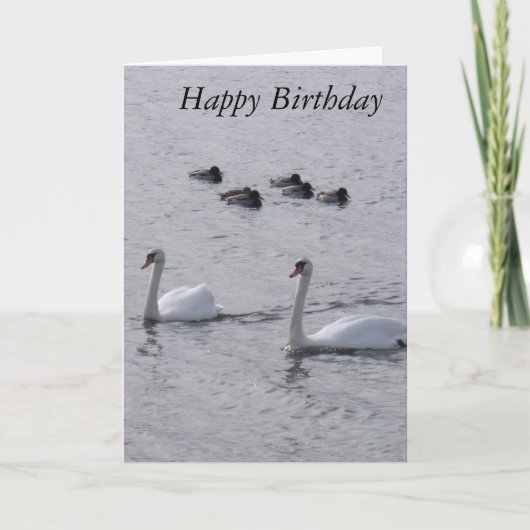 Swans Birthday Card Karte (Vorderseite)