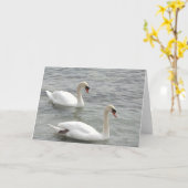 Swans Blank Grußkarte Karte (Gelbe Blume)